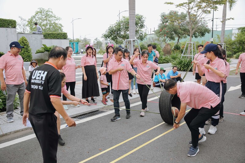 cá cược thể thao hul city